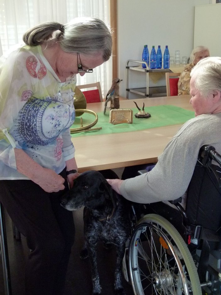 Eine ältere Frau streichelt einen Hund neben einem Rollstuhlfahrer in einem Raum mit Tischdekorationen und Wasserflaschen im Hintergrund.